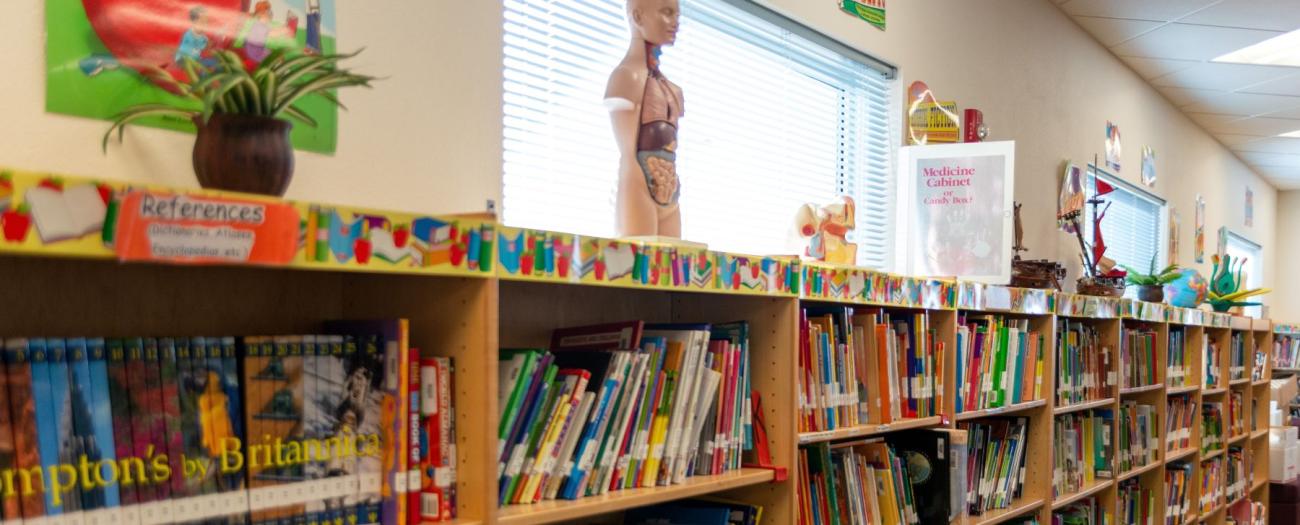 School library filled with books neatly arranged on shelves, illuminated by natural light from lots of windows..