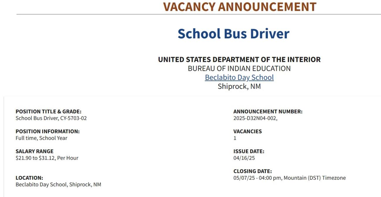 School Bus Driver